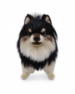 [한사토이] 8043 블랙탄 포메라니안 강아지인형/27cm.H