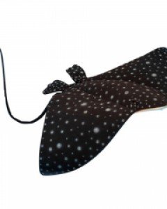 [대형동물할인전][한사토이] 6669 가오리 동물인형/205cm.W