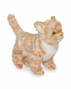 [한사토이] 6573 아기고양이 동물인형(Ginger)/30cm.L