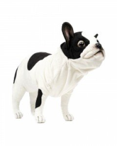 [한사토이] 6601 프렌치 불독 강아지 동물인형(Black & White)/50cm.L