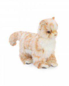 [한사토이] 6498 아기고양이 동물인형/20cm.L
