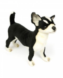 [한사토이] 6367 치와와 동물인형(Black)/27cm.L