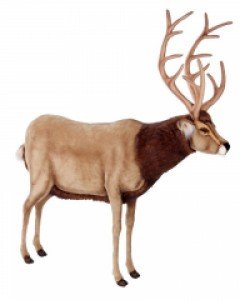 [DP중고상품 A급][한사토이] 3349 사슴 동물인형/158x135cm