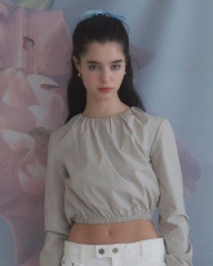 Sorbet Shirring Nylon Top (Beige)