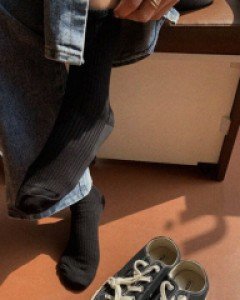 플레트 골지 삭스