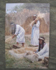 Combing and beating the flax 엽서