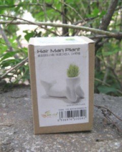 Hair Man Plant