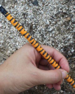 faux paw pencils -E