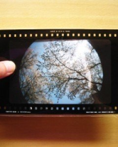 필름 비닐 film vinyl