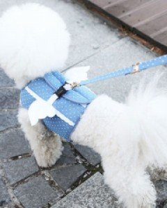 마이엔젤 베스트 하네스 (도트 블루)