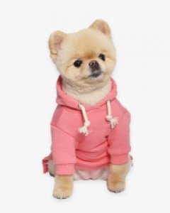 [10% 추가할인] 마카롱 후드 티셔츠 (핑크)