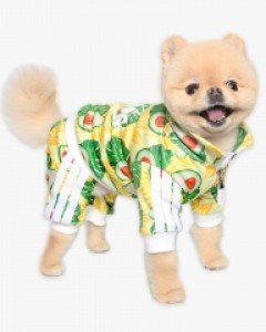 아보카도 져지 올인원