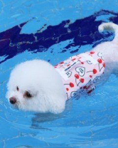 후르츠 구명조끼 (체리)
