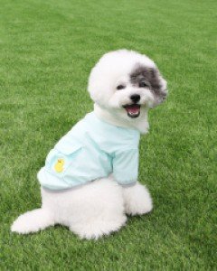 파스텔 윈디 점퍼 (민트)
