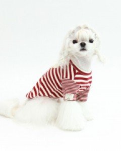스타 베어 티셔츠 (레드)