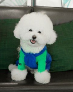 '귀엽단 말이오' 올인원 (그린)