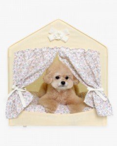 플로라 가든 프레임 하우스 (옐로우)