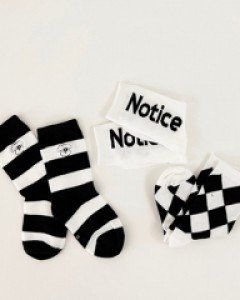 노티 3종양말세트