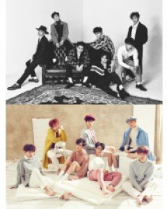 CUBEE BTOB 562029