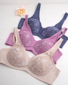 프레스티지브라