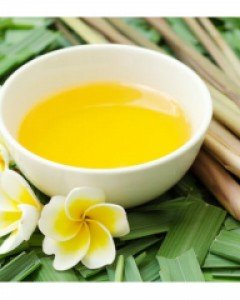 시트로넬라 에센셜오일 [Citronella E.O]