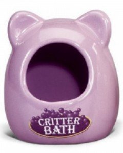 [30%세일] 케이티 세라믹 햄스터 목욕통 크리터 배스-골든햄스터 은신처/색상랜덤 AQ2