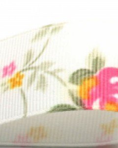 골지장미전사, 흰바탕진핑크 (25mm)