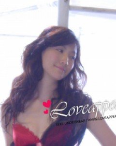 [러브어필-연예인협찬]볼륨업 레이스 섹시브라+섹시팬티(2004BT)결혼기념일선물