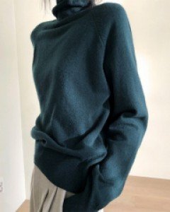 Plain Turtleneck