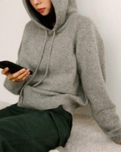 Beta Wool Hoodie
