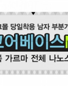 당일착용 부분가발/인모코어베이스 M왼쪽가르마 전체나노스킨인모100% 핸드메이드 전체완수제470,000원→430,000원
