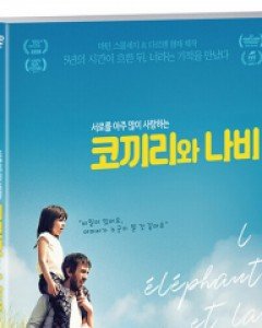 코끼리와 나비