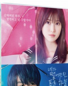 네가 떨어뜨린 푸른 하늘 - 엽서4종세트