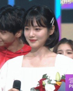 펌킨썸머 3개세트 헤어핀 (20H080) [5color]