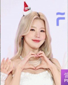 산타햇 포인트 4종 집게핀 (22H257)