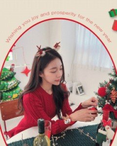 크리스마스 홈파티 아이템 모음전 (22GH016)