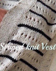 striped scash knit vest