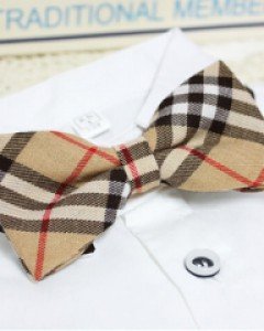 더블나비03