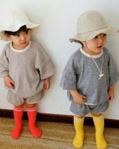 비스켓세트(PNJ)